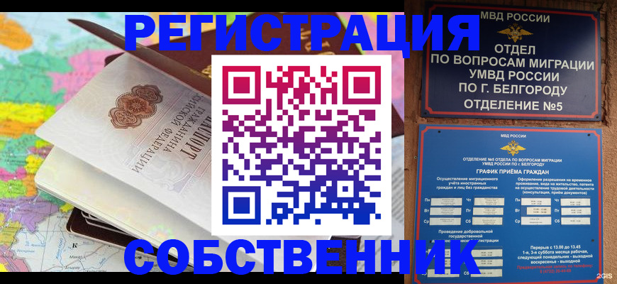 временная регистрация гарантия в Михайловске